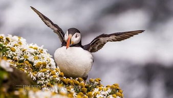 经典励志文章 含着泪奔跑的人