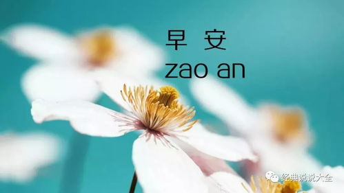 早安正能量励志语录,适合发朋友圈