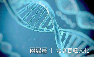 我为何放弃未来集市?为你真实讲述7个原因