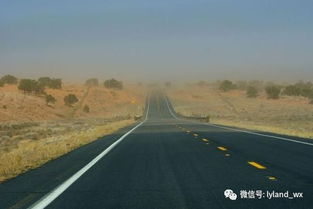 励志文章 行动决定命运