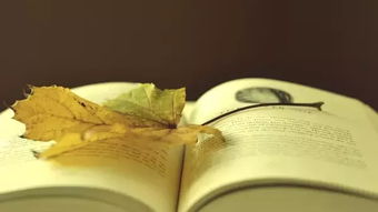 时光一直很温柔,不妨就此到白头