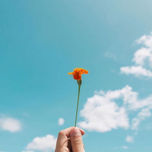 励志阳光的朋友圈短句,温暖心扉,越看越喜欢