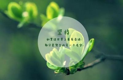人生励志文章:迈向成功十大步骤