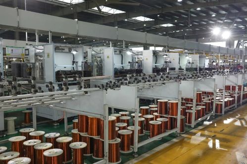 几款厚道亲民的车型，整体线条养眼，值得一路风雨同行