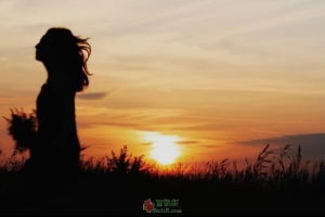 你当像鸟，飞往你的山